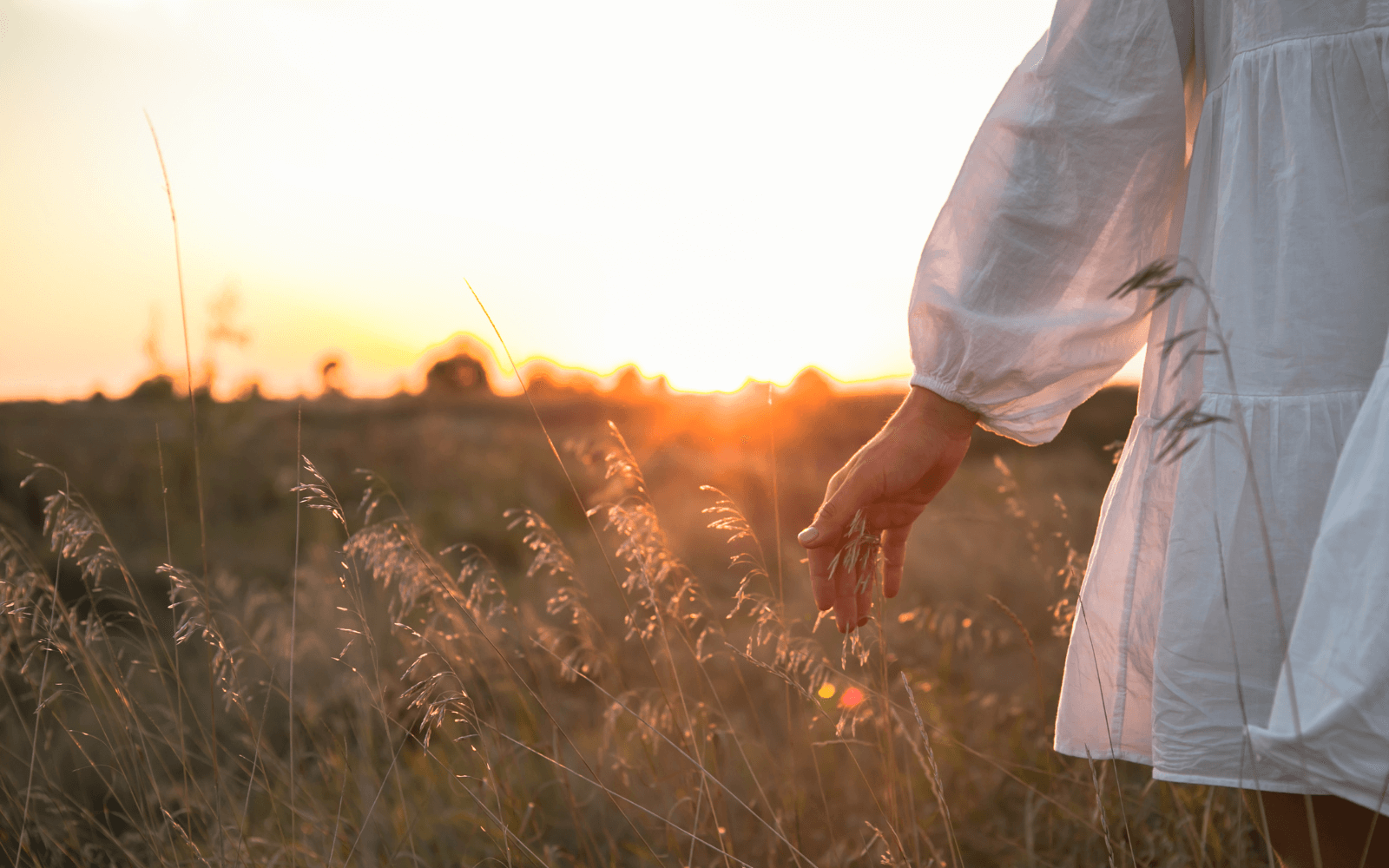 Nature-Immersion Therapy